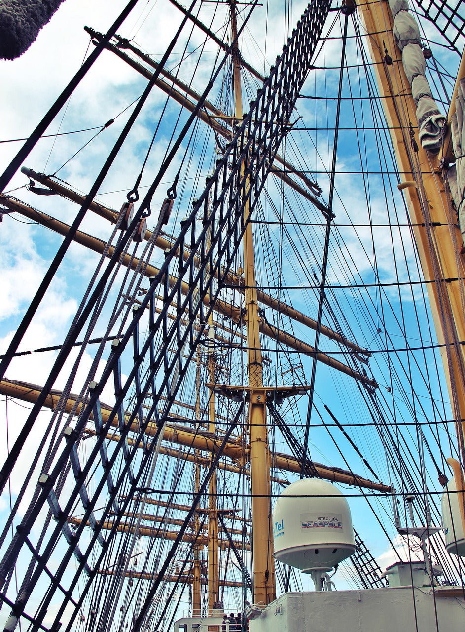 Gangways & Bathing Platforms