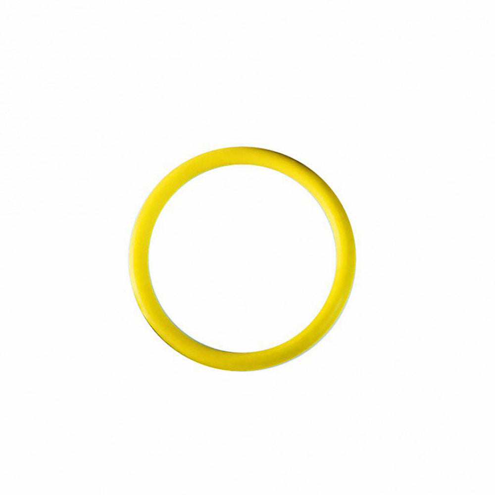 Airmar DST800 Yellow O Ring for valve