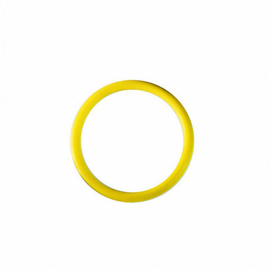 Airmar DST800 Yellow O Ring for valve